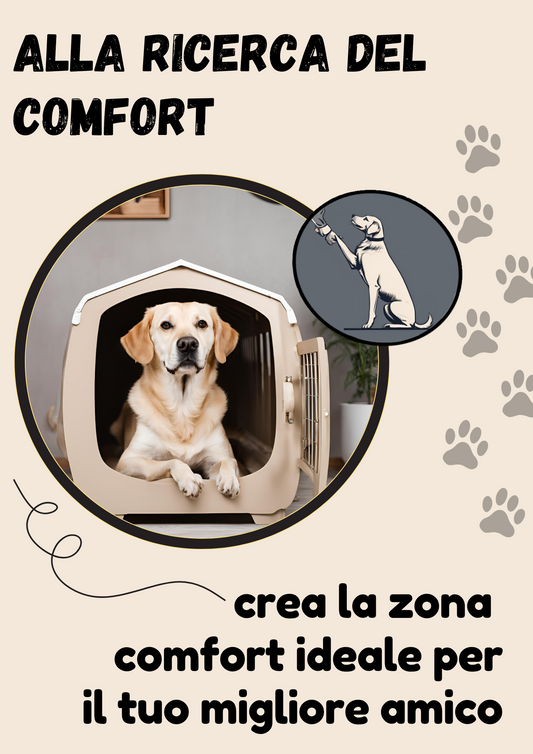 ScuolaBau Alla ricerca del comfort