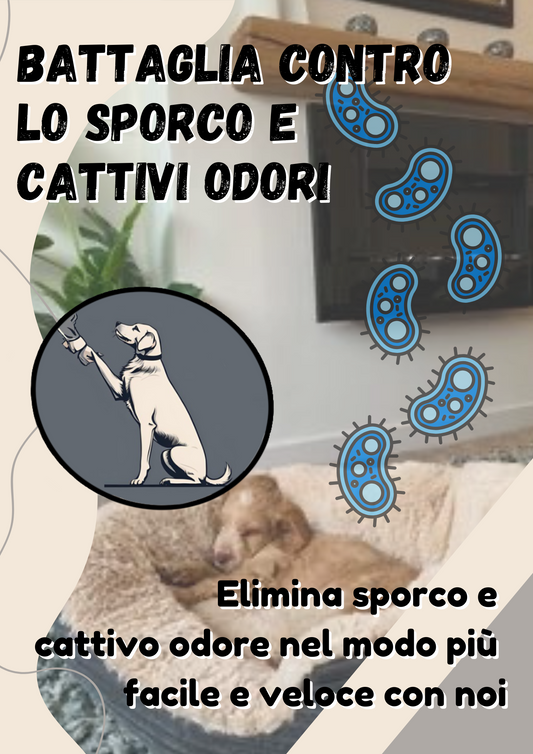ScuolaBau Battaglia contro lo sporco e cattivi odori
